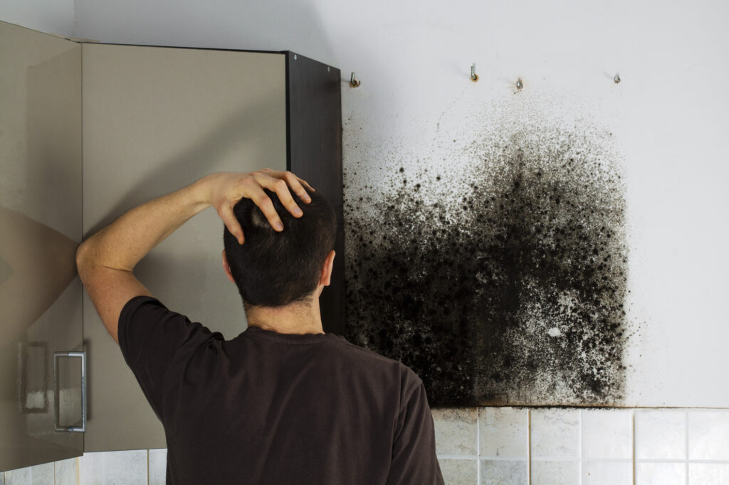 Smoke Damage Restoration San Diego