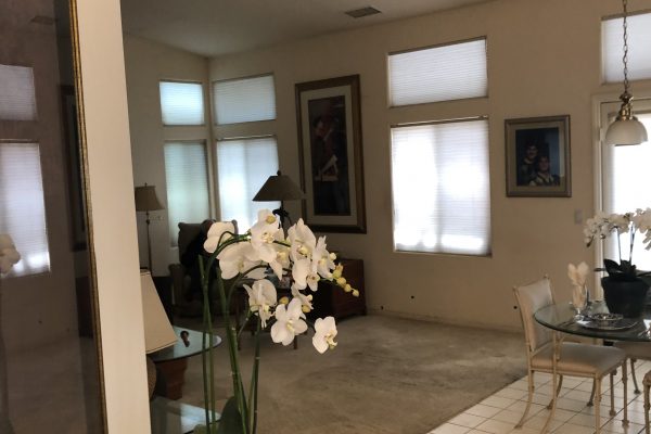 Water Line Flood, Alpine, San Diego