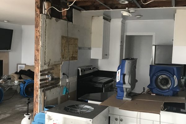 Water Damage and Repairs in La Playa, San Diego