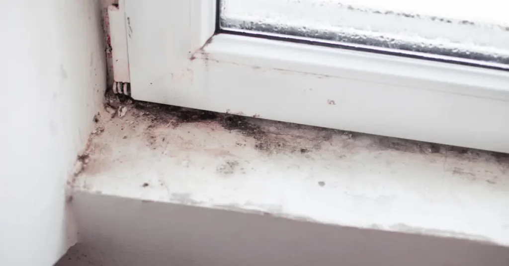 7 Warning Signs of Mold Exposure Every Homeowner Should Know