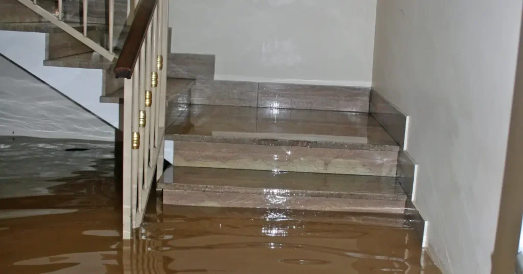 Why Flood Damage Gets Worse Over Time and How to Stop It