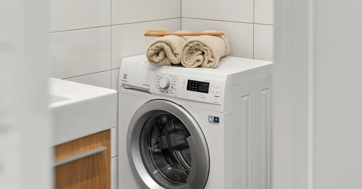 Clean Your Washer to Prevent Mold Growth