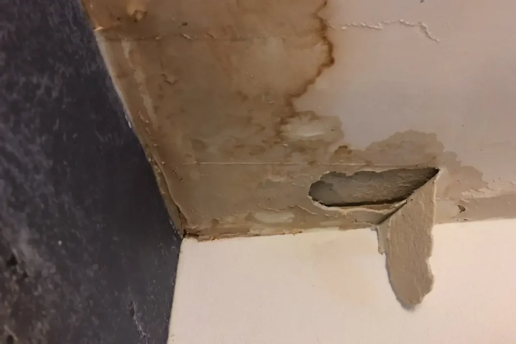 water damage restoration in rancho santa fe