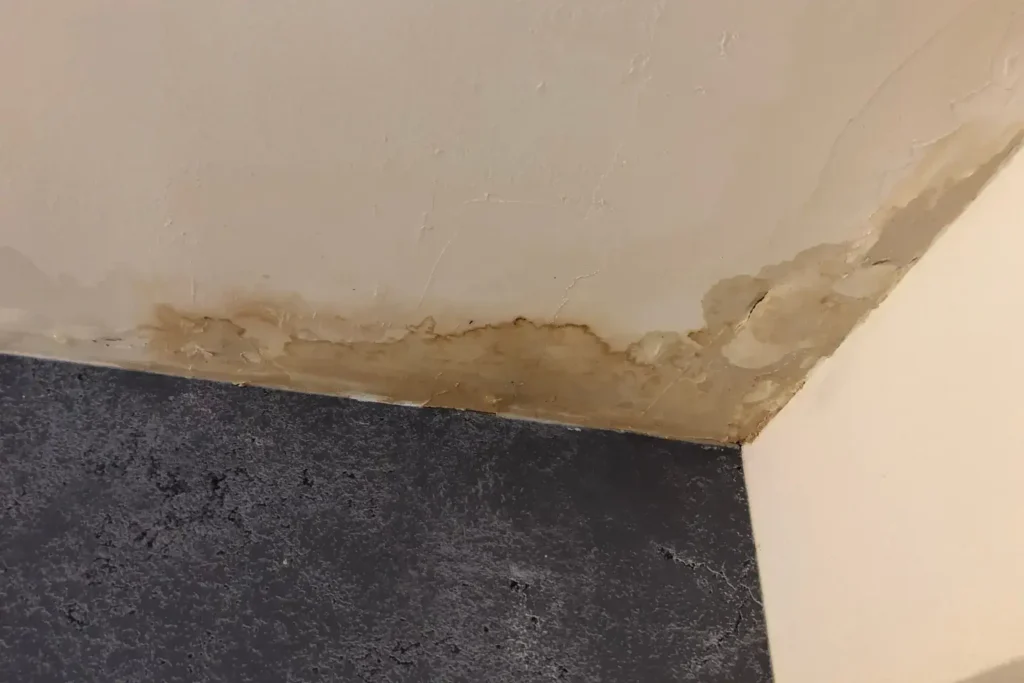 water damage restoration in rancho santa fe