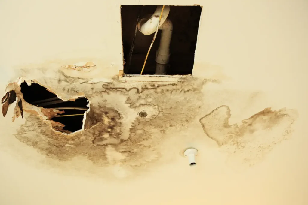 water damage restoration in Alpine