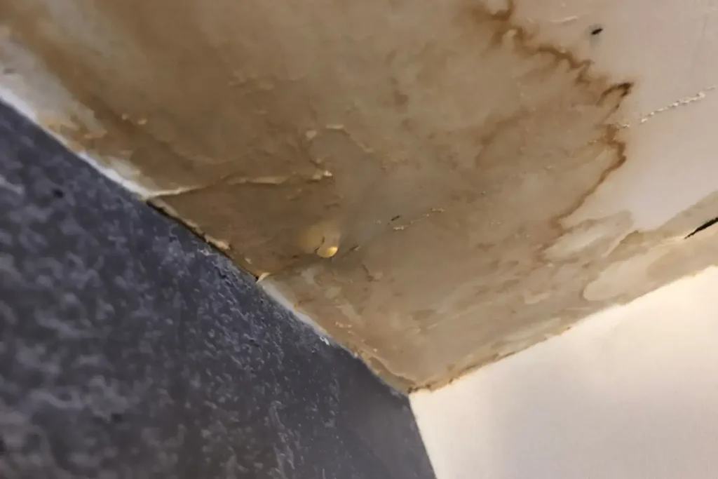 water damage restoration in Coronado