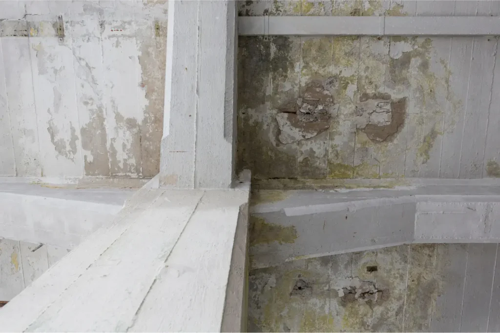 water damage restoration in Downtown San Diego