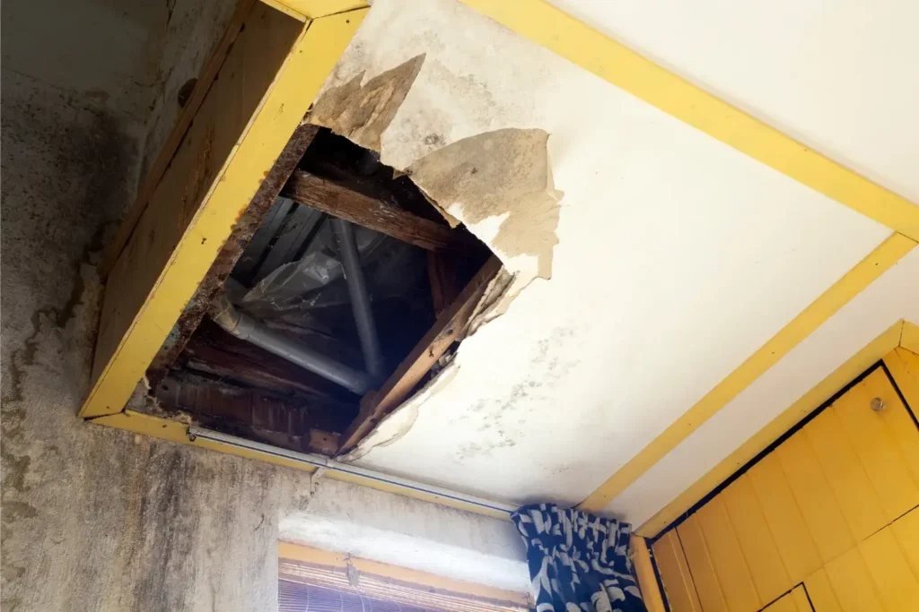 water damage restoration in spring valley