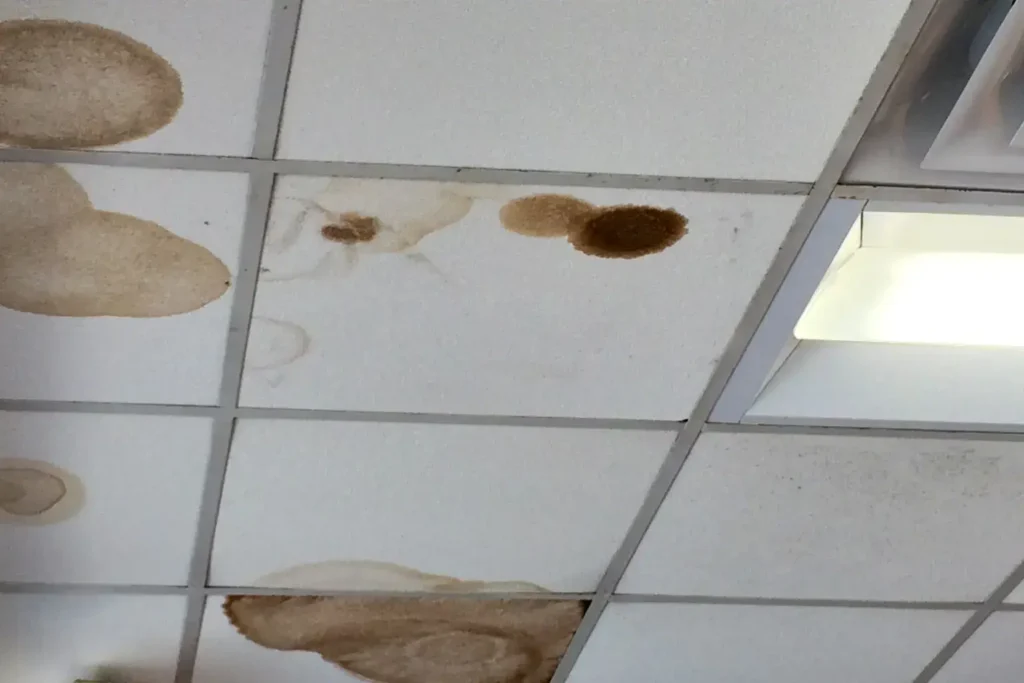 water damage restoration in university city