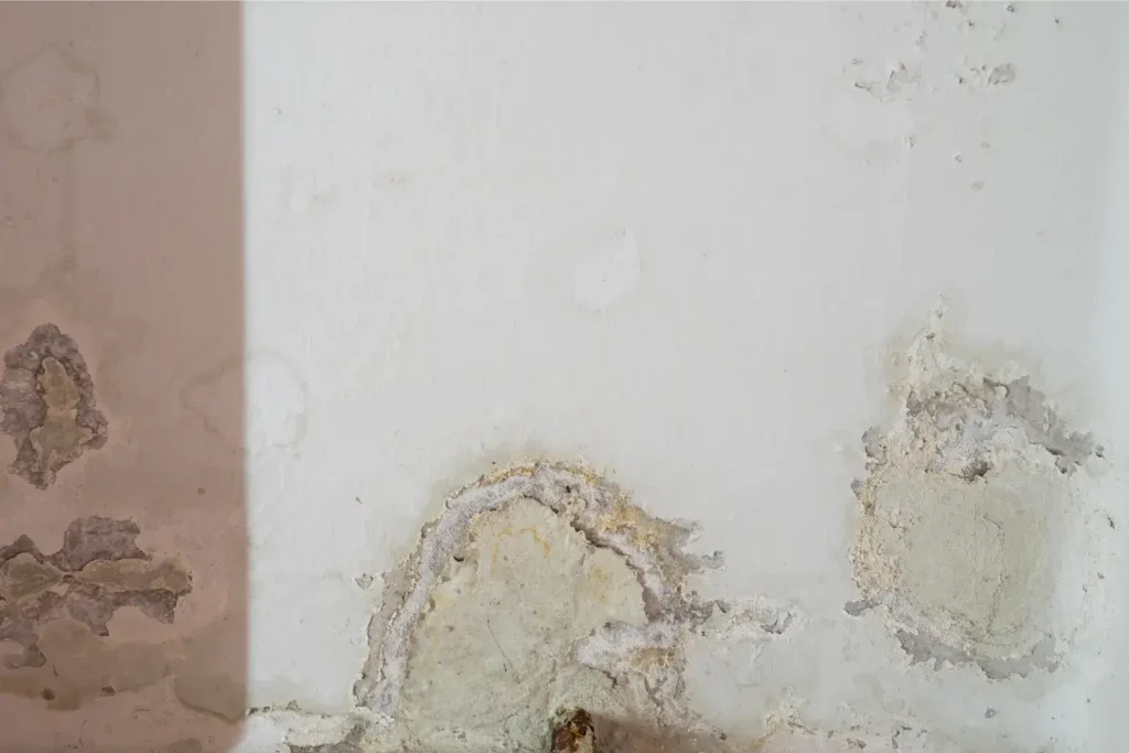 water damage restoration in pacific beach