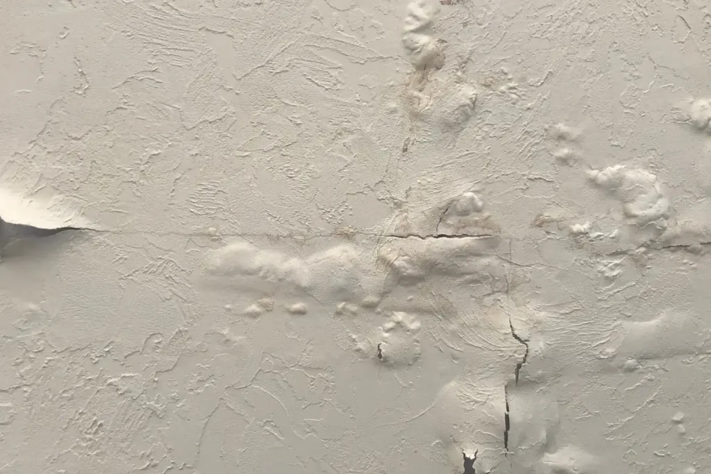 water damage restoration in jamul