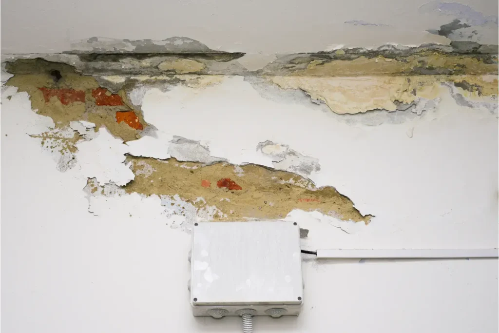 water damage restoration in lemon grove