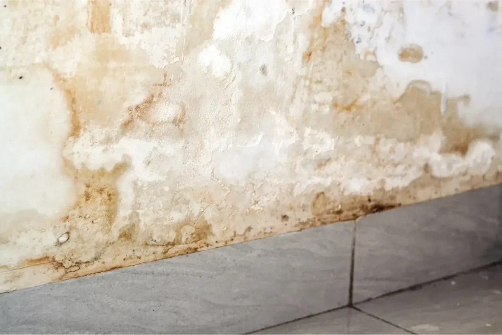 water damage restoration in mission hills