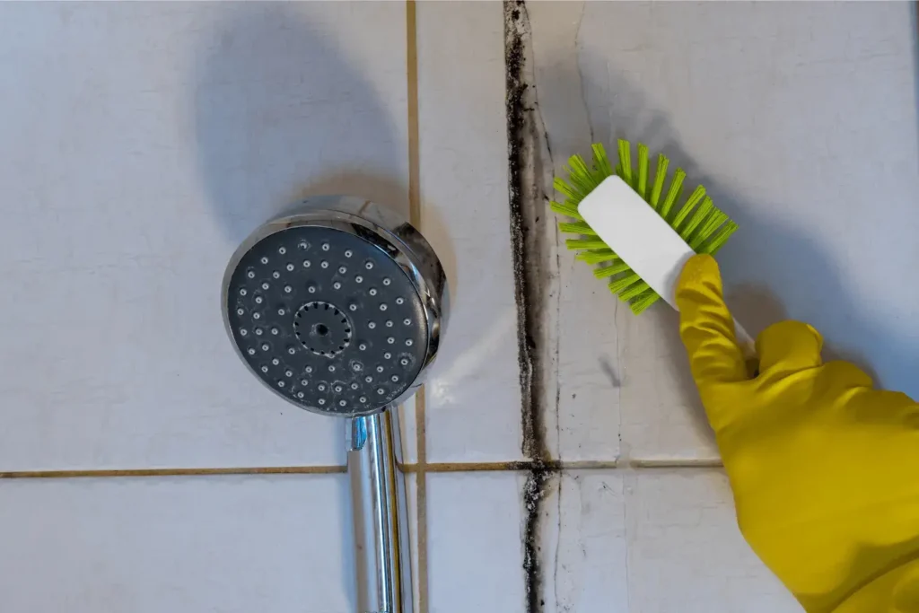 mold remediation in el cajon