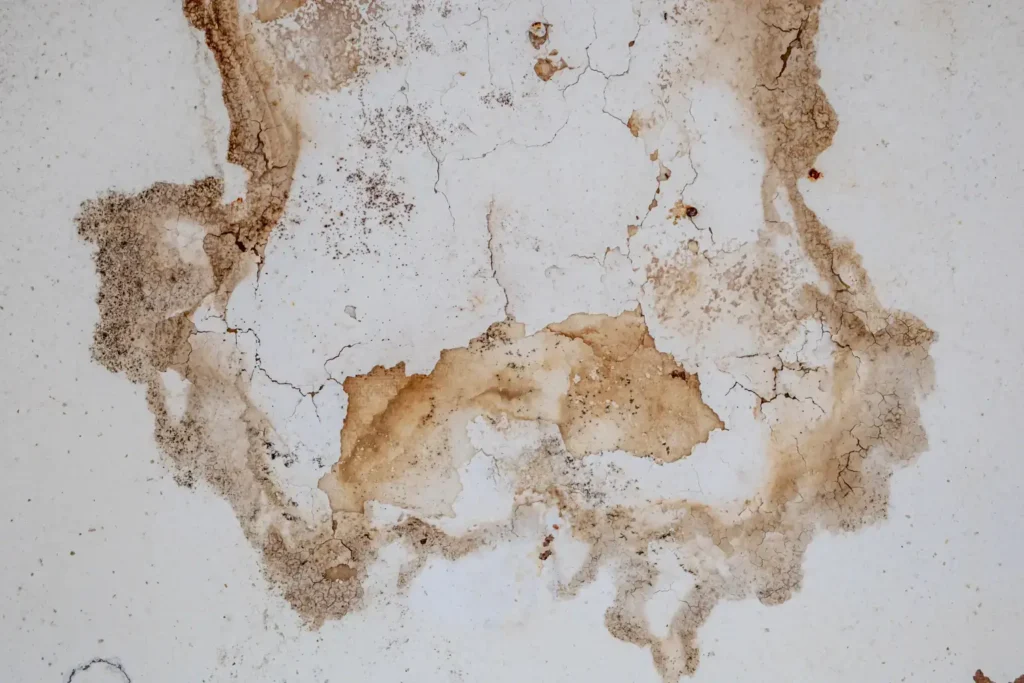 water damage restoration in point loma