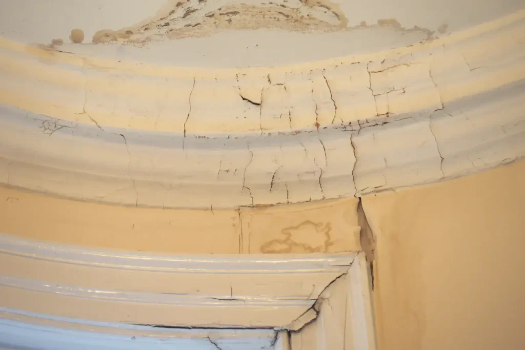 water damage restoration in normal heights