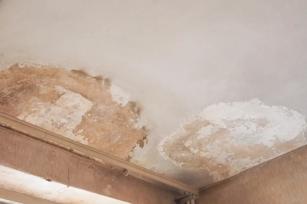 water damage restoration in north park