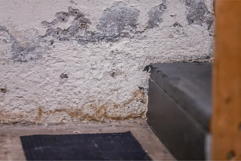 water damage restoration in north park