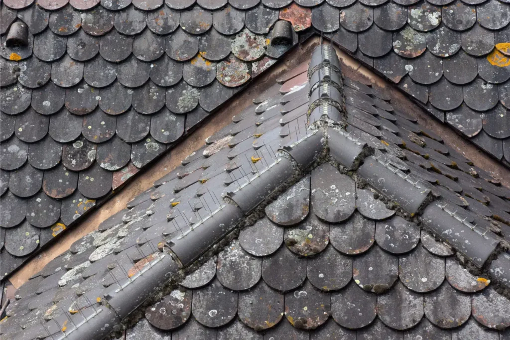 water damage restoration in old town san diego