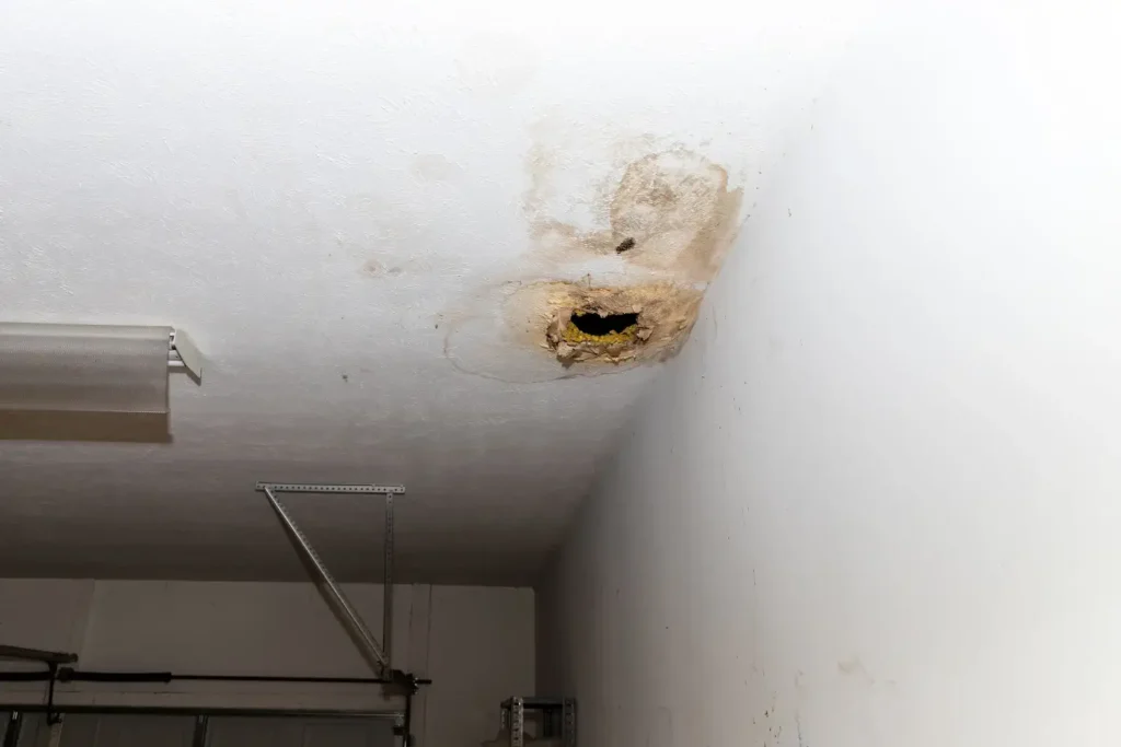 water damage restoration in old town san diego