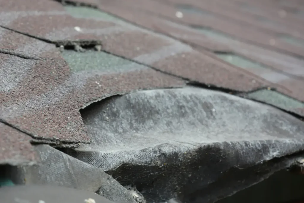 water damage restoration in oceanside