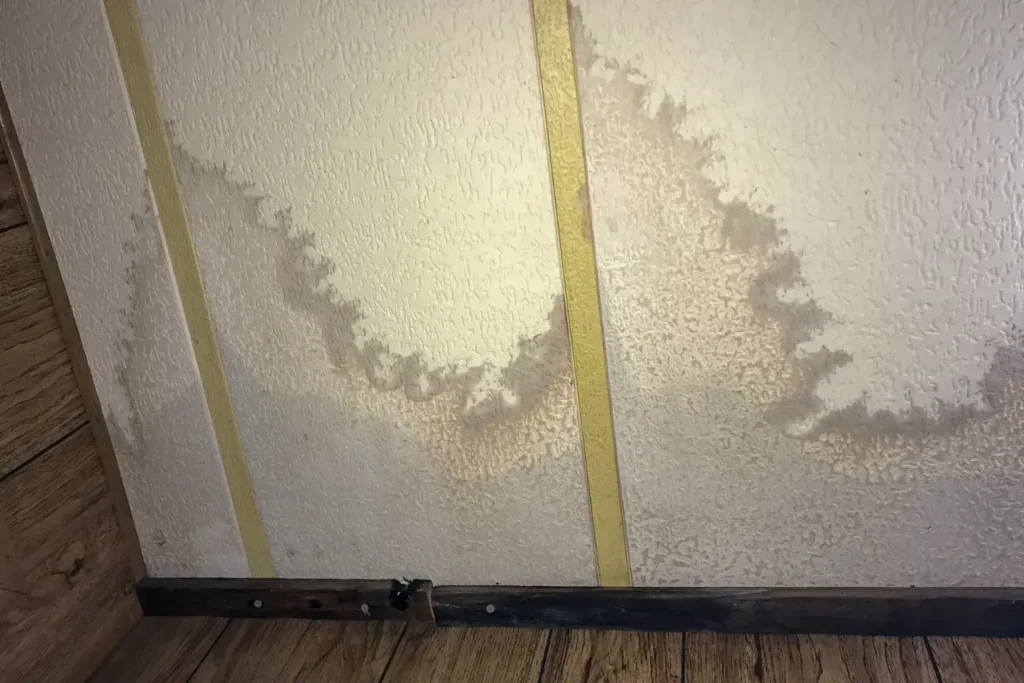 water damage restoration in Bonita