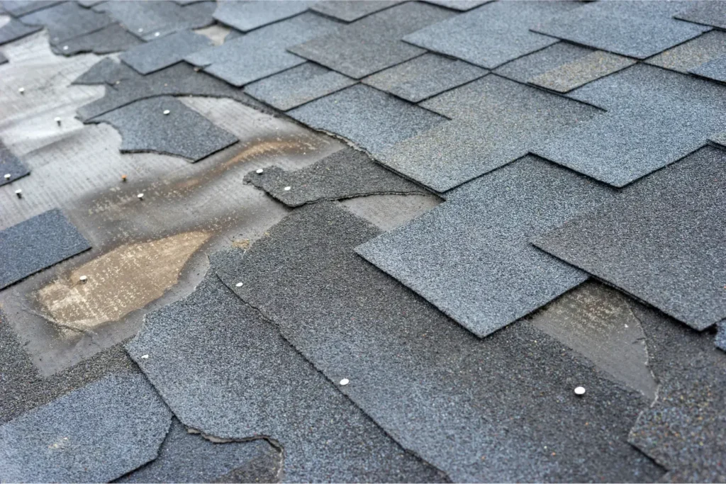 water damage restoration in Carmel Valley