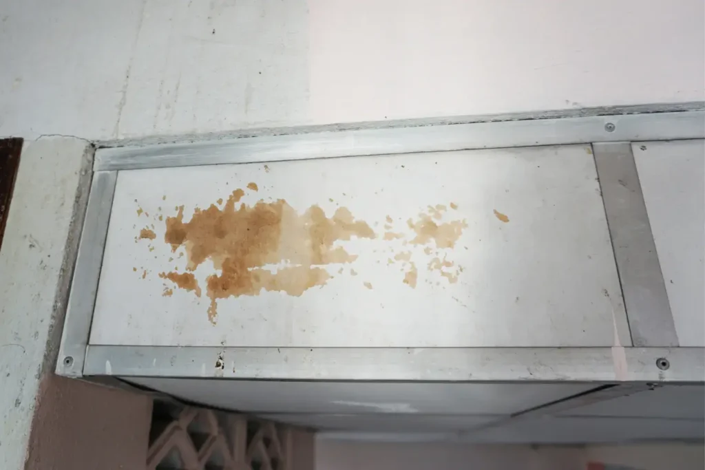 water damage restoration in rancho peñasquitos