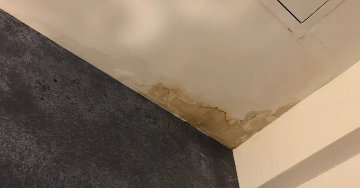 Roof Leak Water Damage