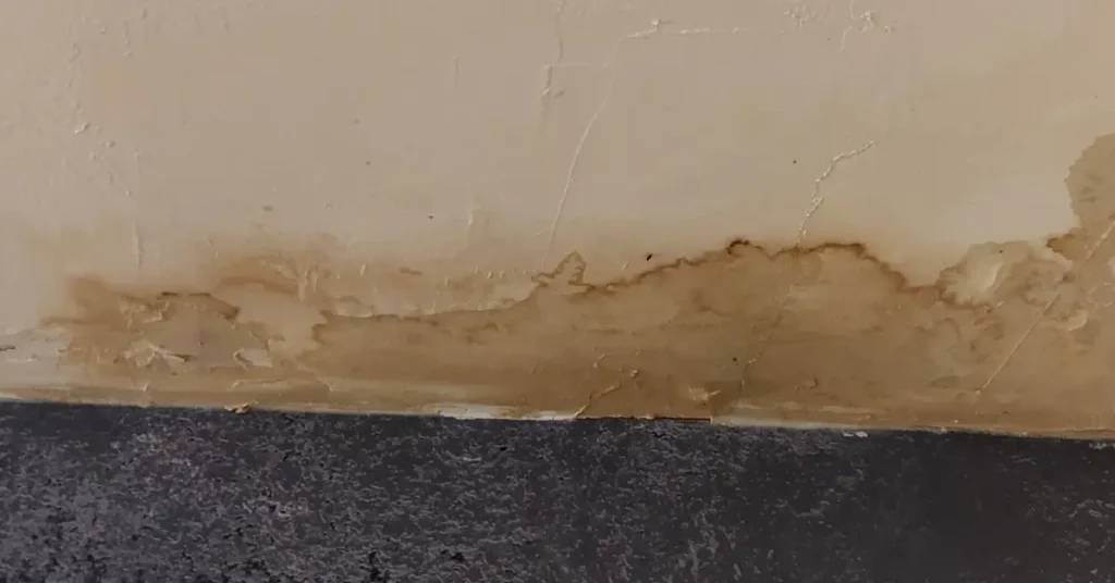 how to detect water leaks in walls
