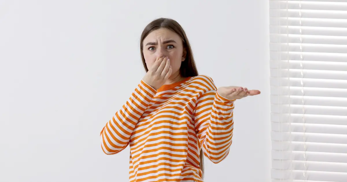 smell of smoke in the house but no fire