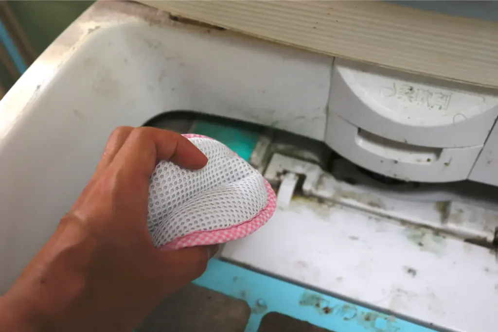 mold remediation in pacific beach