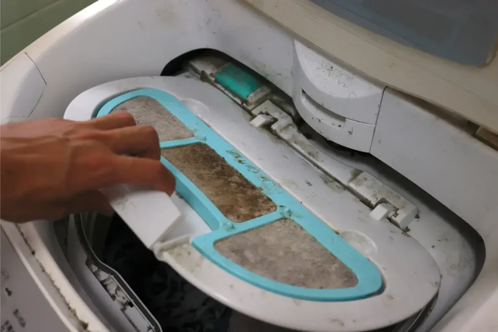 mold remediation in pacific beach