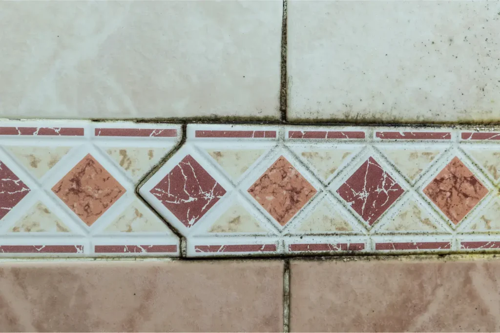 mold remediation in poway