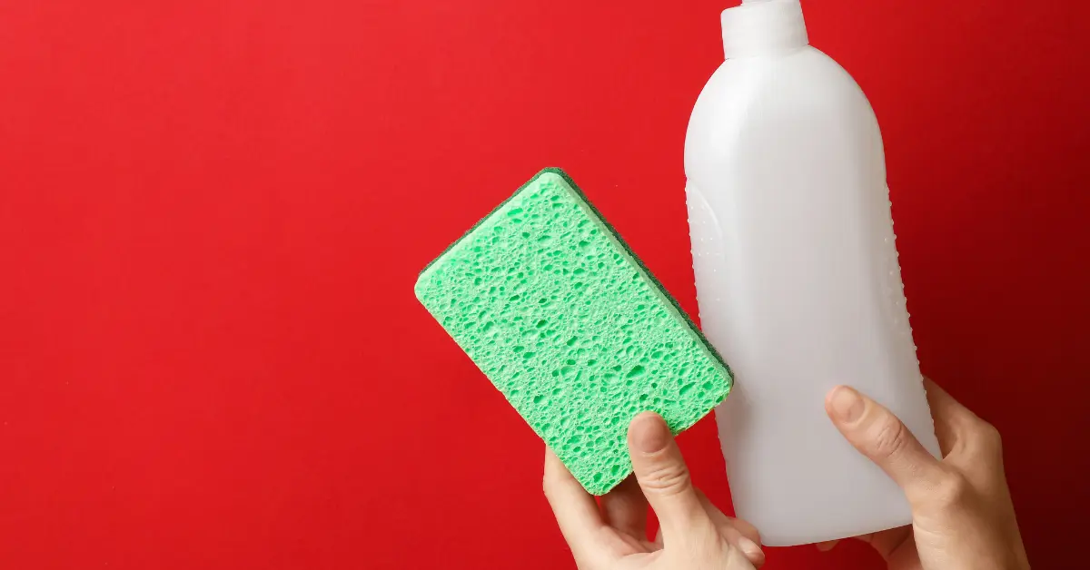 non-chemical cleaners for mold