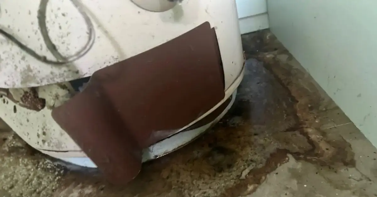 7 Smart Steps for water damage restoration lakeside