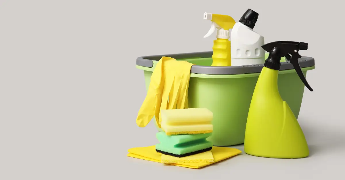 mold removal services