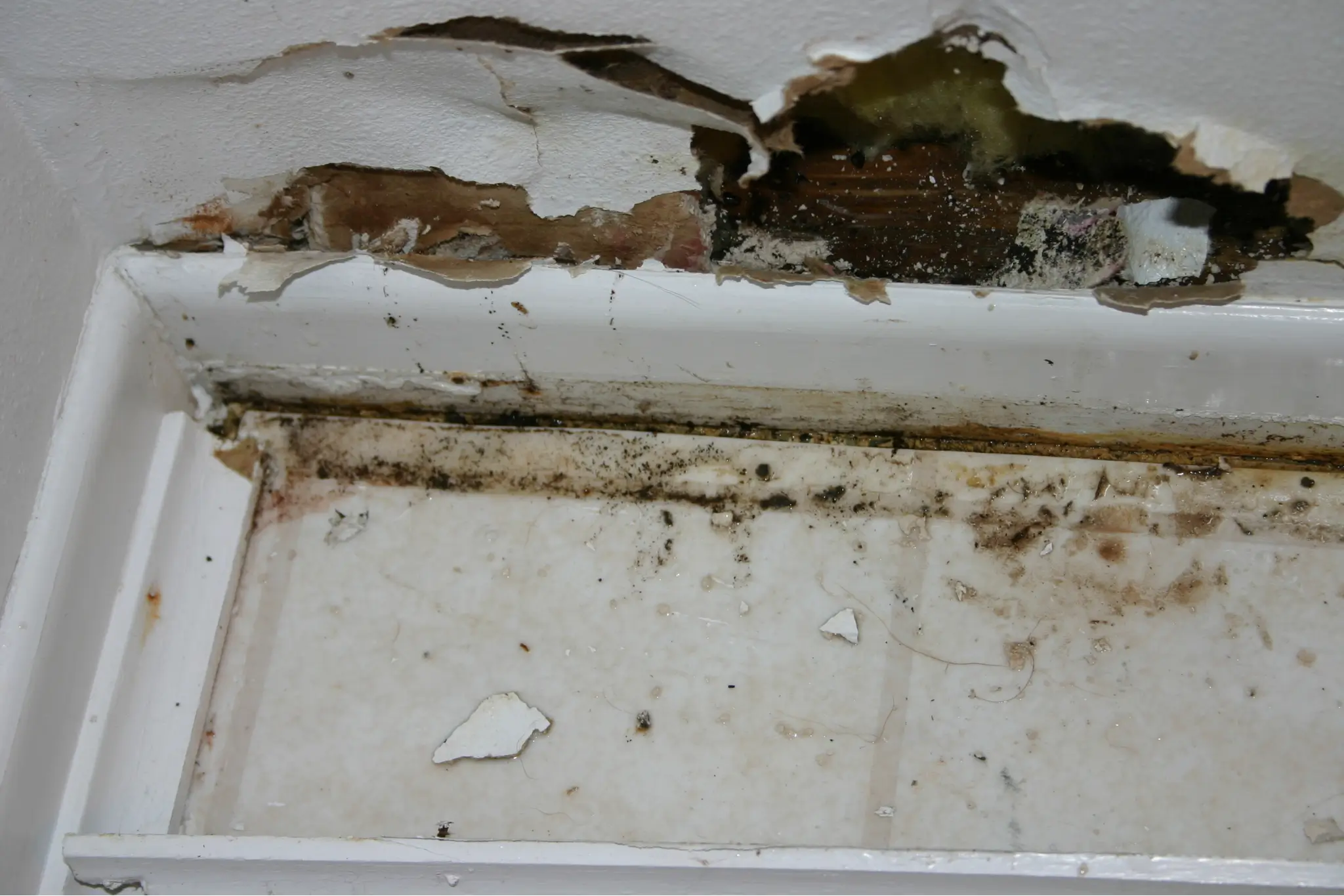 wet drywall repair after leak