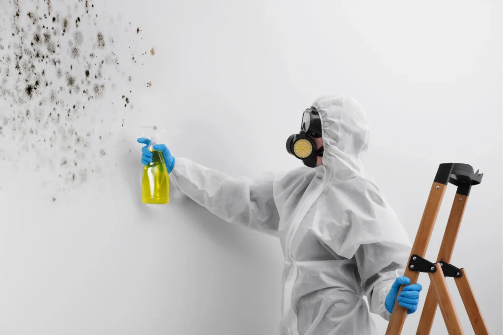 Can a mold-infested house be saved?