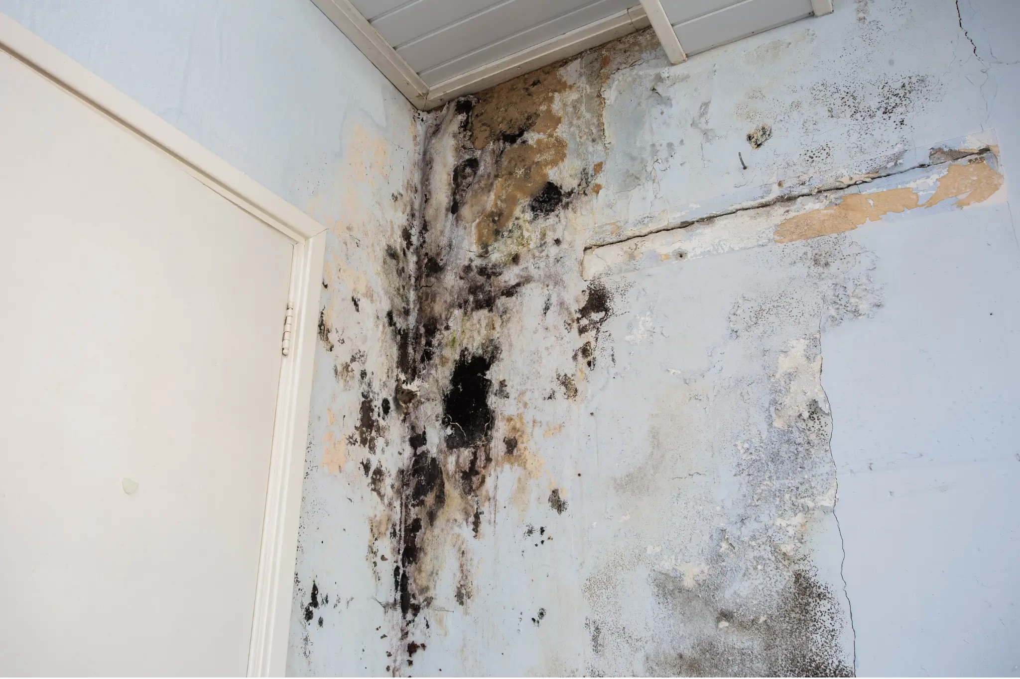 What time of year is worst for mold?