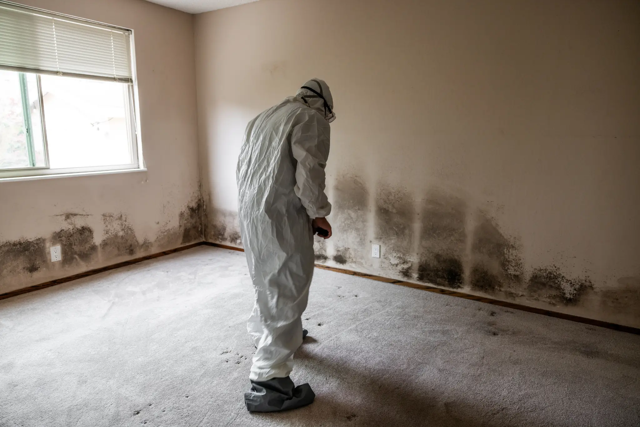 What kills mold after a flood?